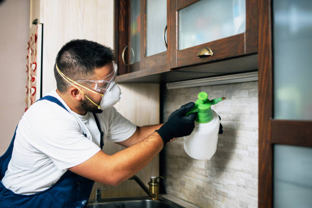 Best Rat Extermination Near Me  in Ama, LA