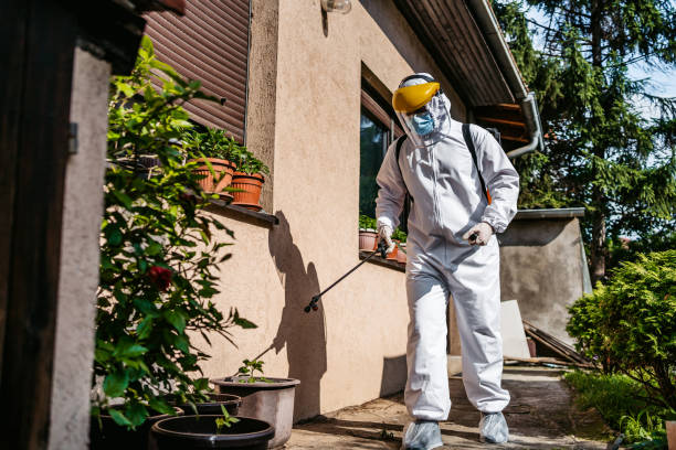 Best Pest Control Near Me in Ama, LA