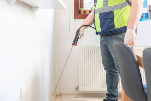 Best Pest Control Near Me  in Ama, LA