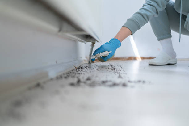 Best Wildlife Control Services  in Ama, LA